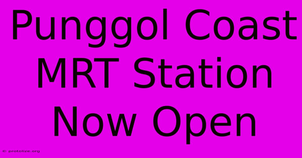 Punggol Coast MRT Station Now Open