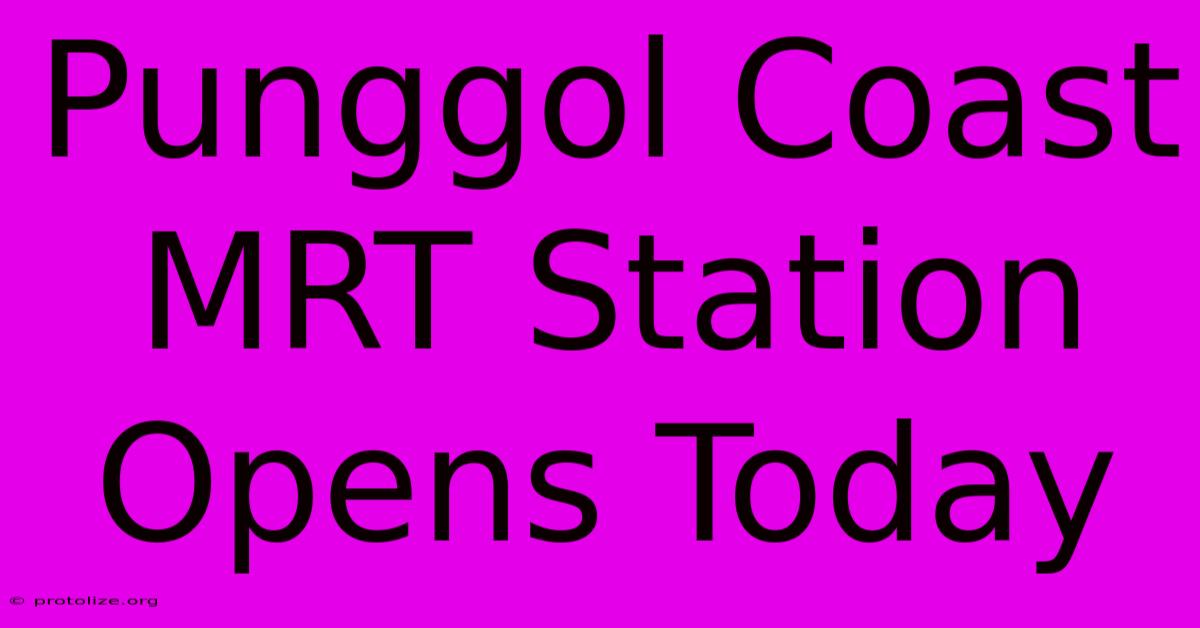 Punggol Coast MRT Station Opens Today