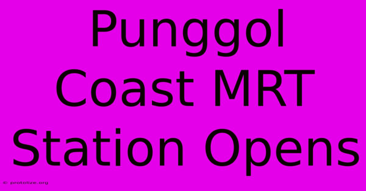 Punggol Coast MRT Station Opens