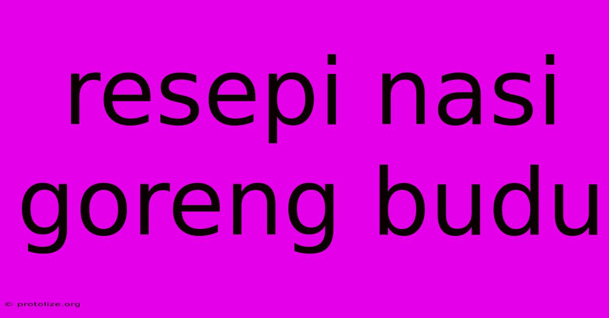 Resepi Nasi Goreng Budu