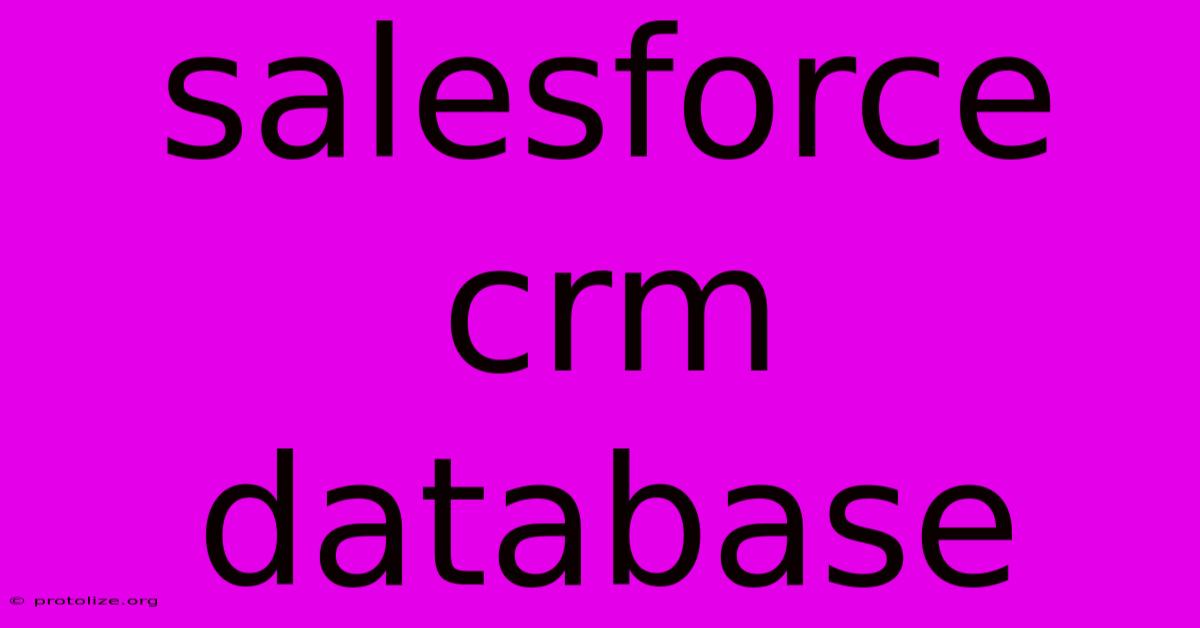 Salesforce Crm Database Salesforce Crm Database