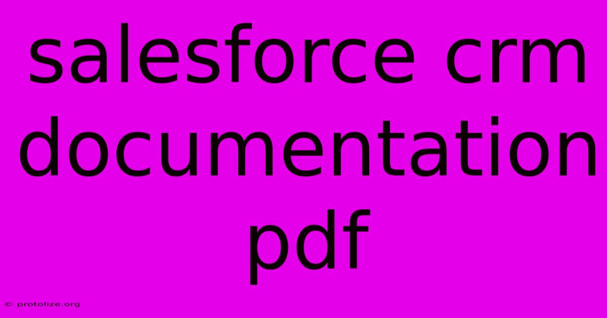 Salesforce Crm Documentation Pdf