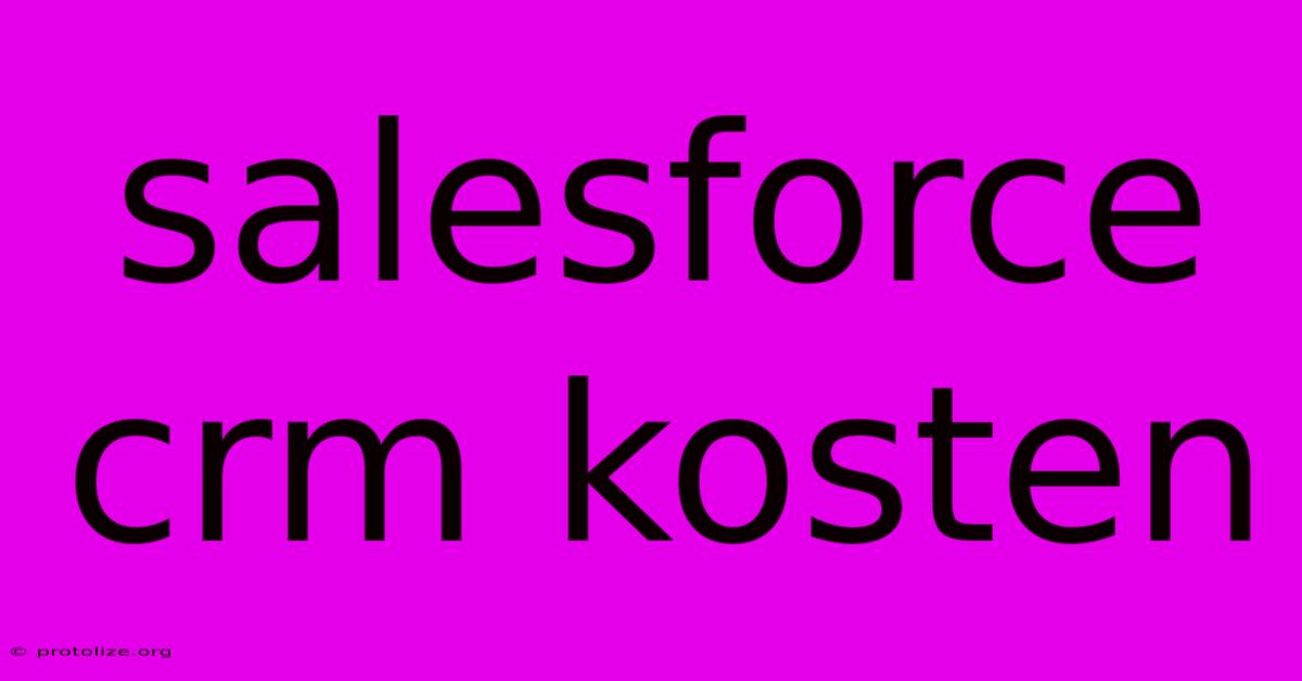 Salesforce Crm Kosten