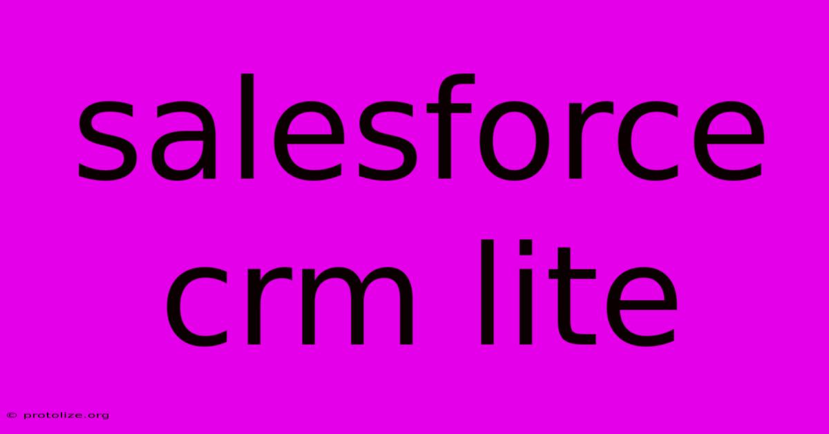 Salesforce Crm Lite Salesforce Crm Lite