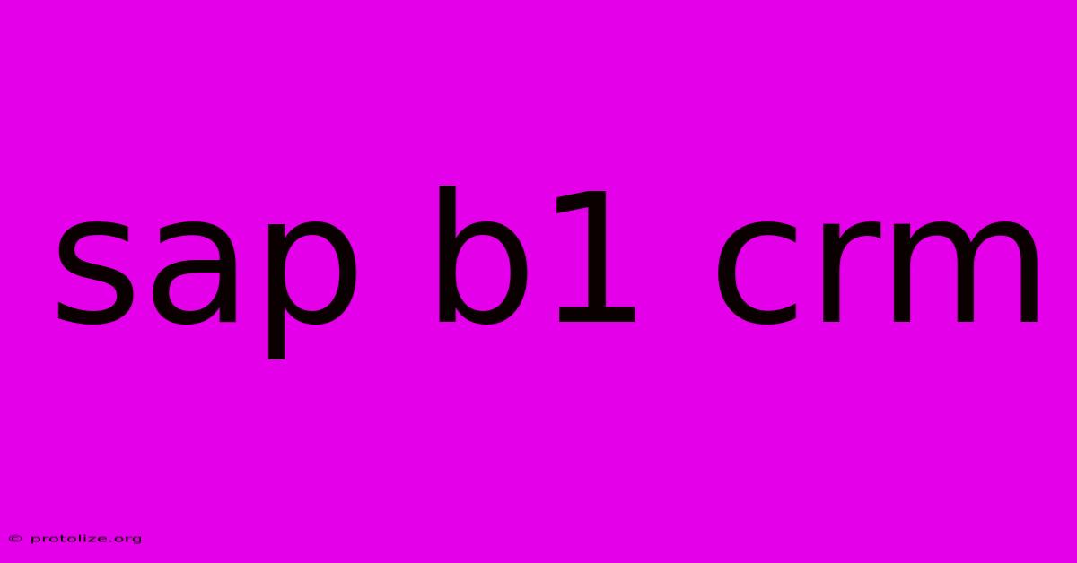 Sap B1 Crm Sap B1 Crm