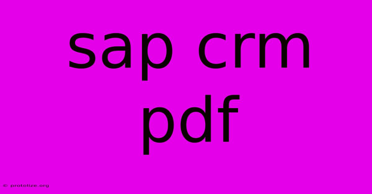 Sap Crm Pdf Sap Crm Pdf