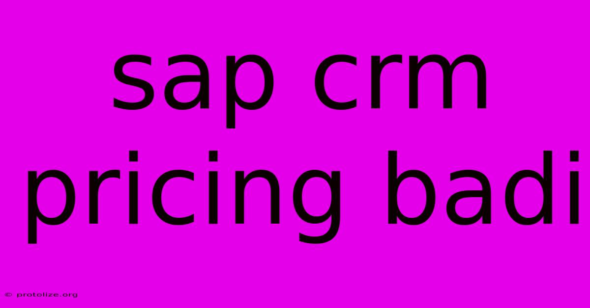 Sap Crm Pricing Badi