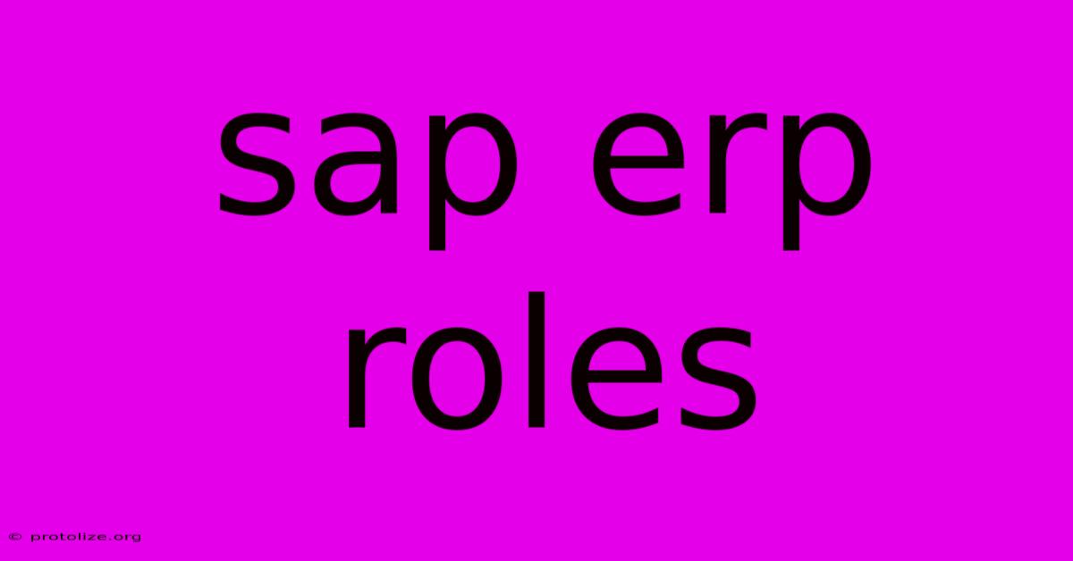 Sap Erp Roles Sap Erp Roles