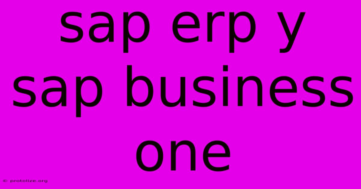 Sap Erp Y Sap Business One