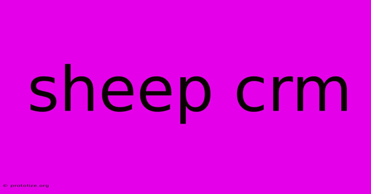 Sheep Crm