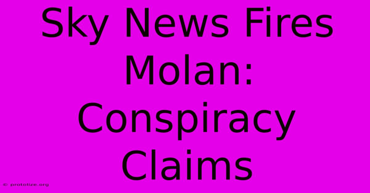 Sky News Fires Molan: Conspiracy Claims