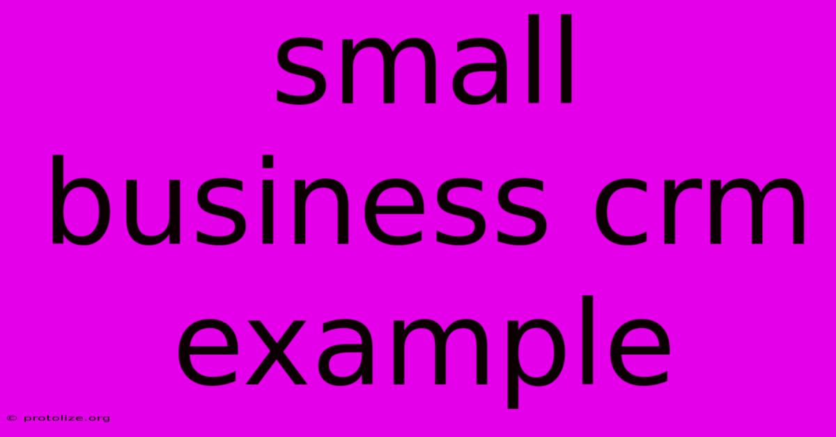 Small Business Crm Example