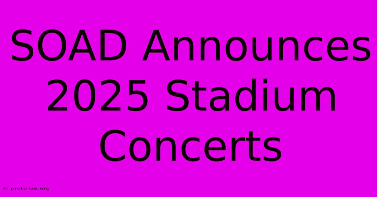 SOAD Announces 2025 Stadium Concerts