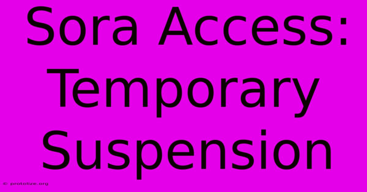 Sora Access: Temporary Suspension