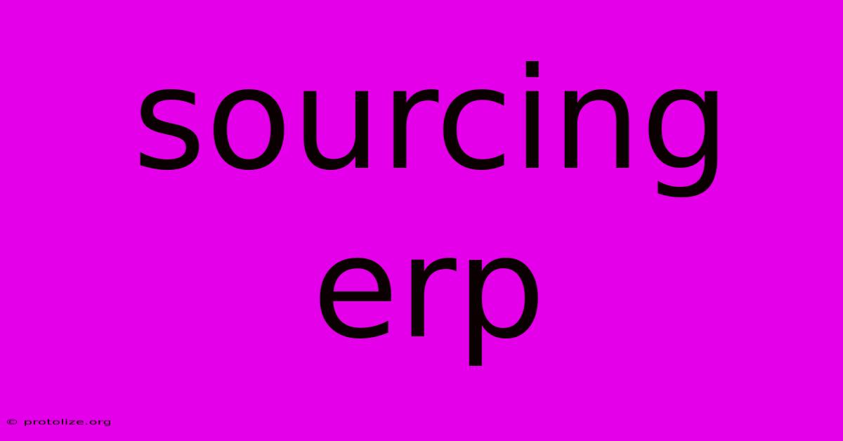 Sourcing Erp Sourcing Erp