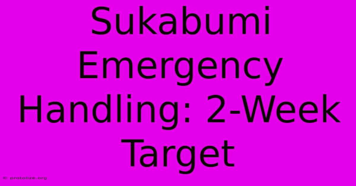 Sukabumi Emergency Handling: 2-Week Target