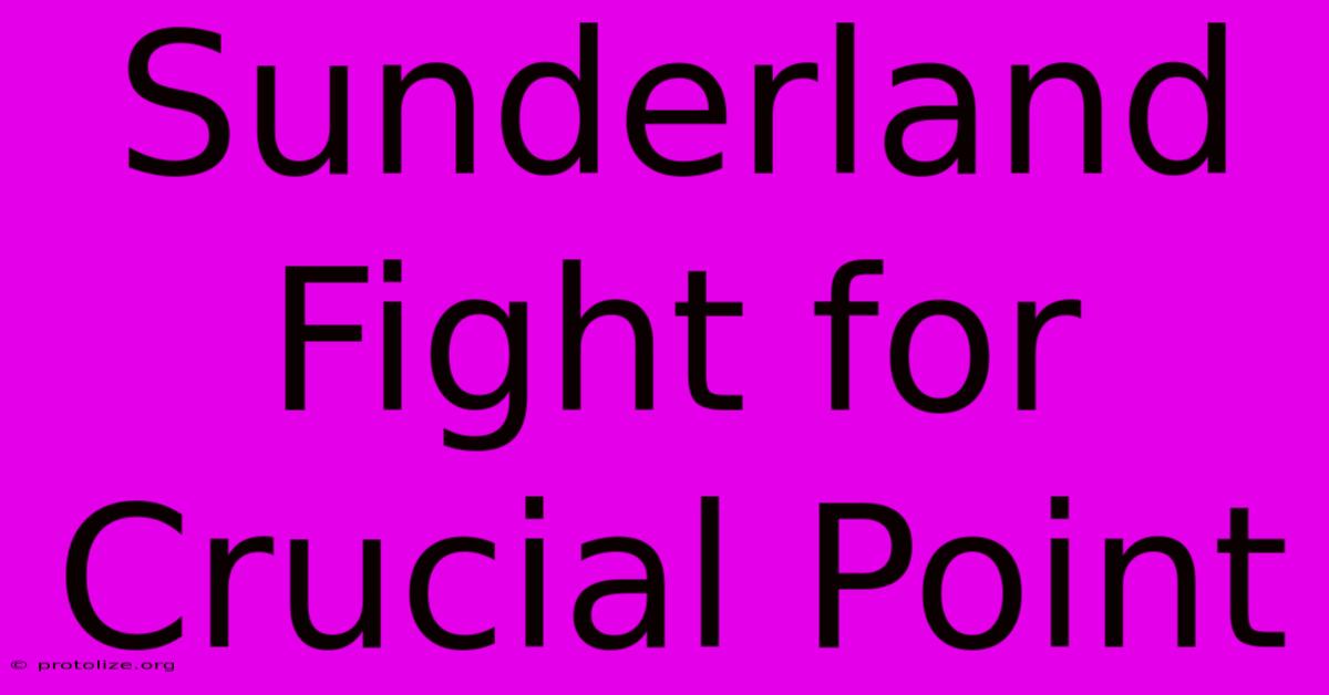 Sunderland Fight For Crucial Point Sunderland Fight For Crucial Point