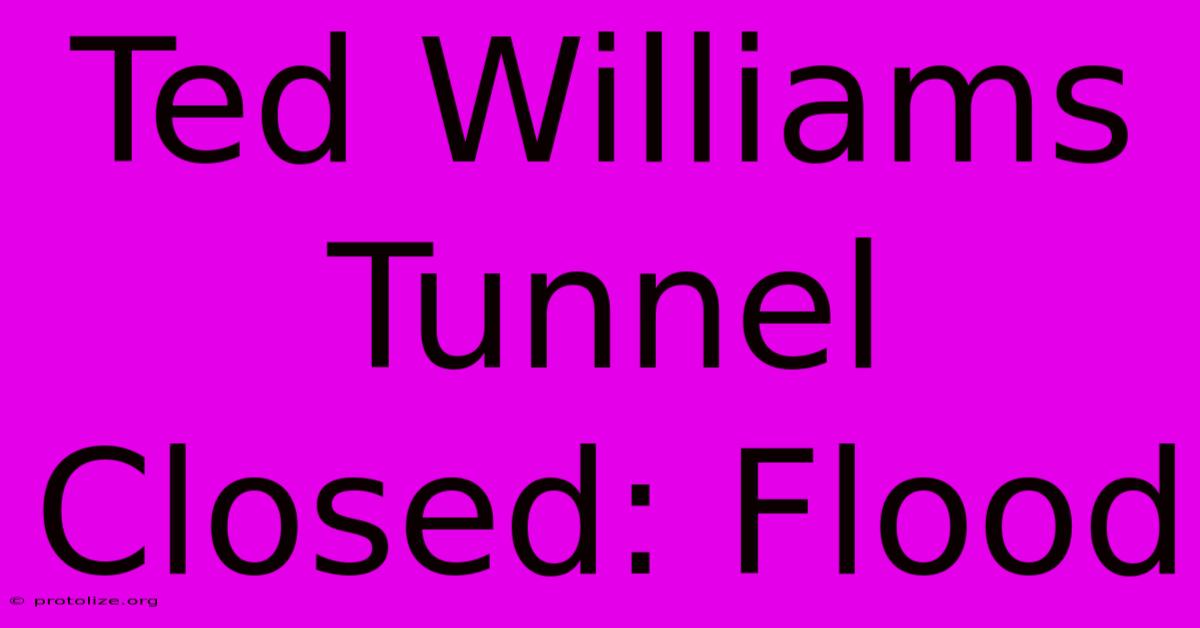 Ted Williams Tunnel Closed: Flood Ted Williams Tunnel Closed: Flood