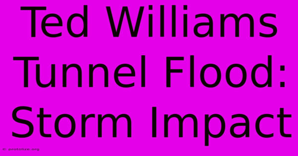 Ted Williams Tunnel Flood: Storm Impact Ted Williams Tunnel Flood: Storm Impact