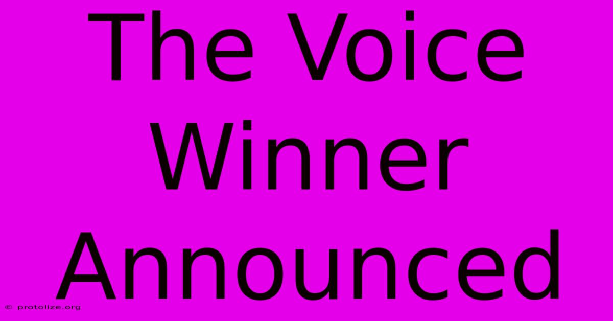 The Voice Winner Announced The Voice Winner Announced