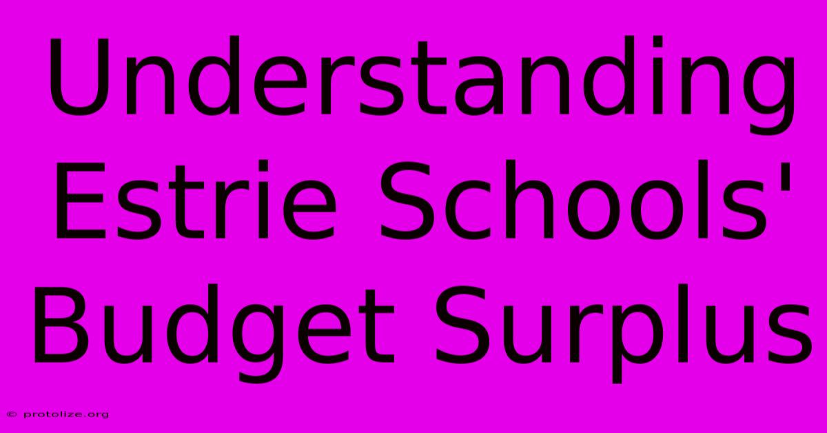Understanding Estrie Schools' Budget Surplus Understanding Estrie Schools' Budget Surplus