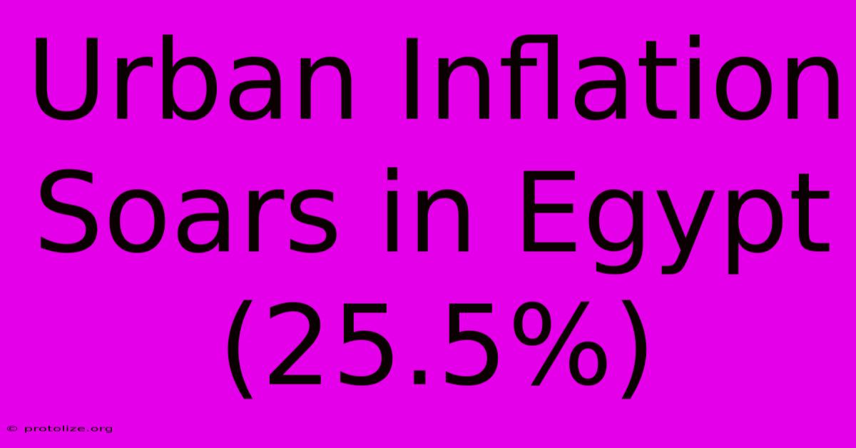 Urban Inflation Soars In Egypt (25.5%) Urban Inflation Soars In Egypt (25.5%)