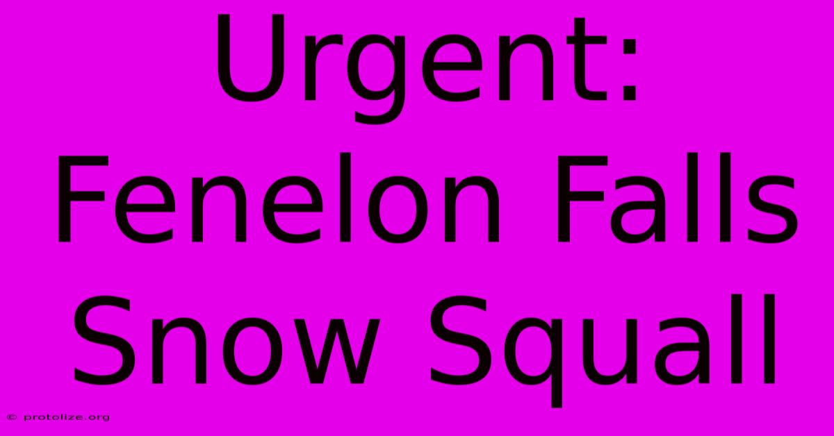 Urgent: Fenelon Falls Snow Squall