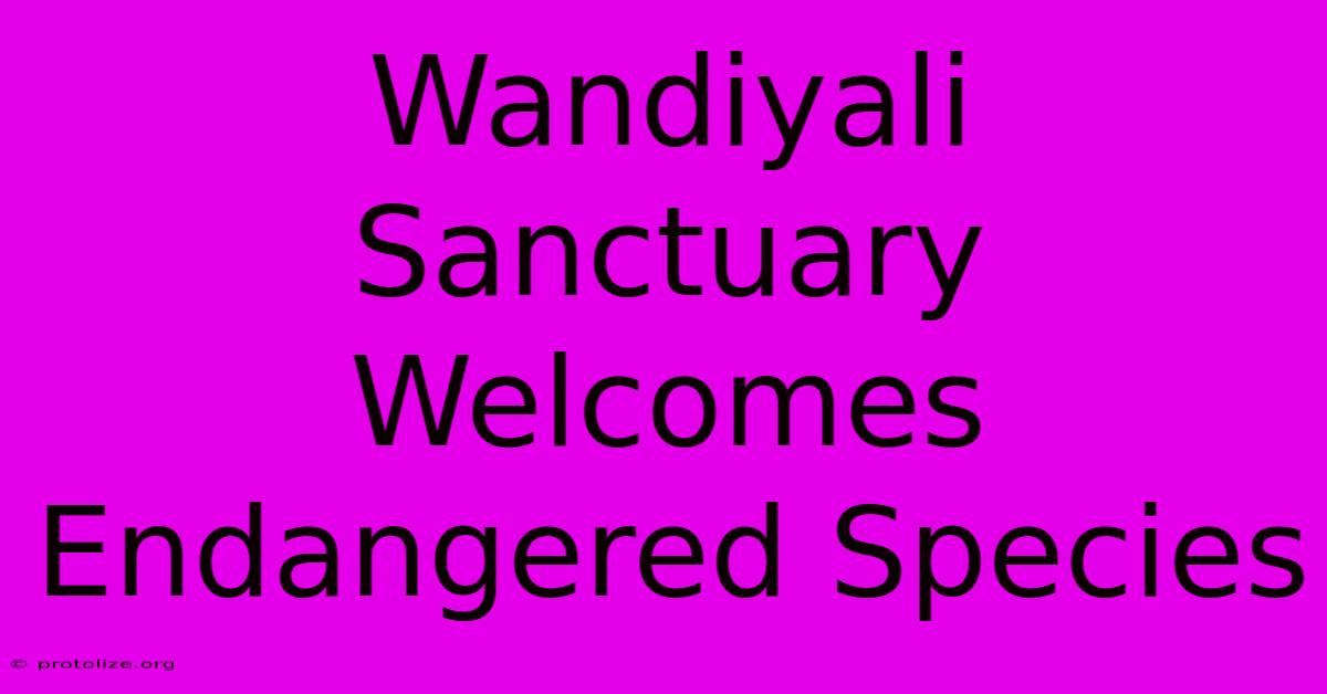 Wandiyali Sanctuary Welcomes Endangered Species Wandiyali Sanctuary Welcomes Endangered Species