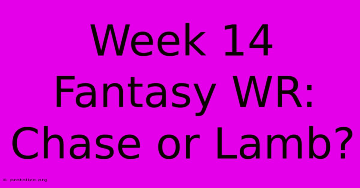 Week 14 Fantasy WR: Chase Or Lamb?