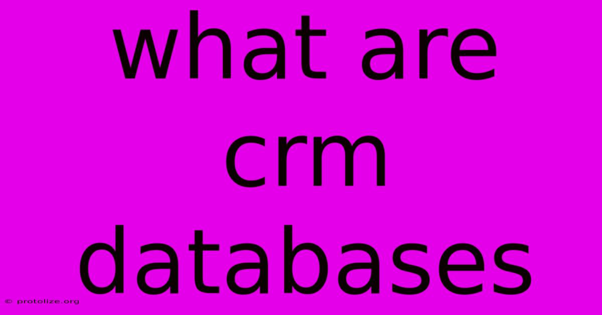 What Are Crm Databases