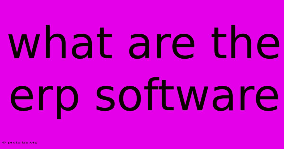 What Are The Erp Software What Are The Erp Software