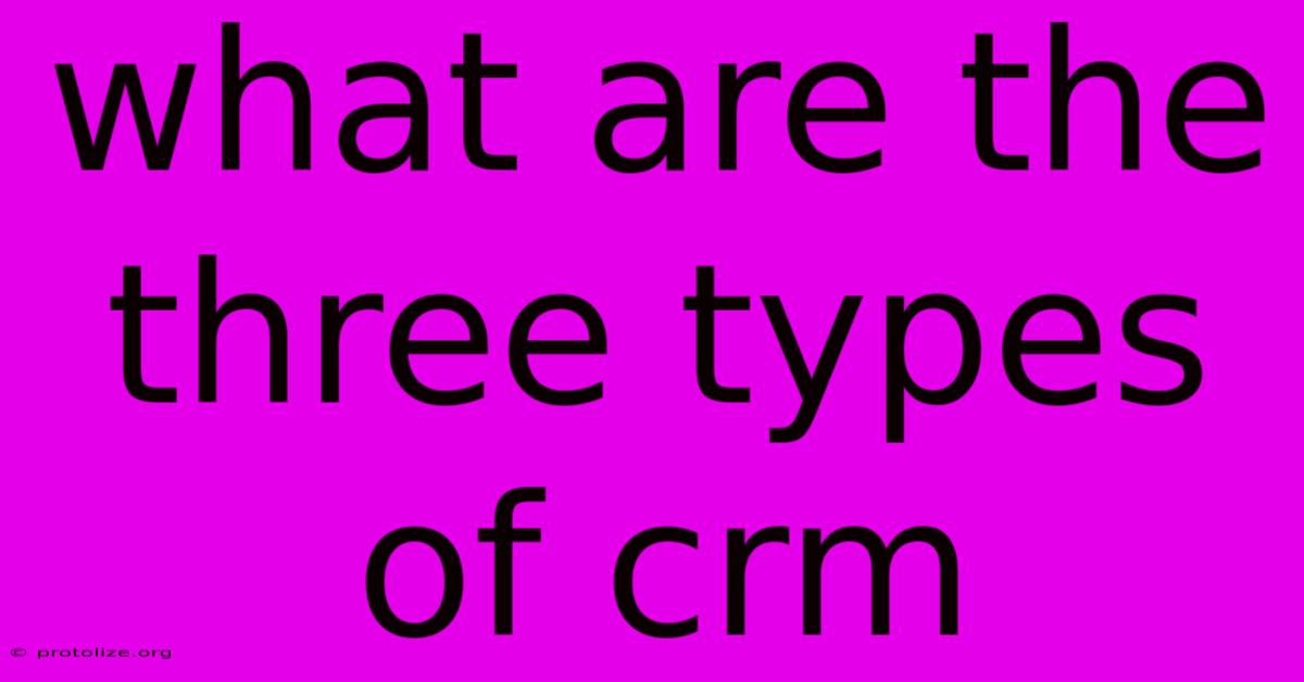 What Are The Three Types Of Crm