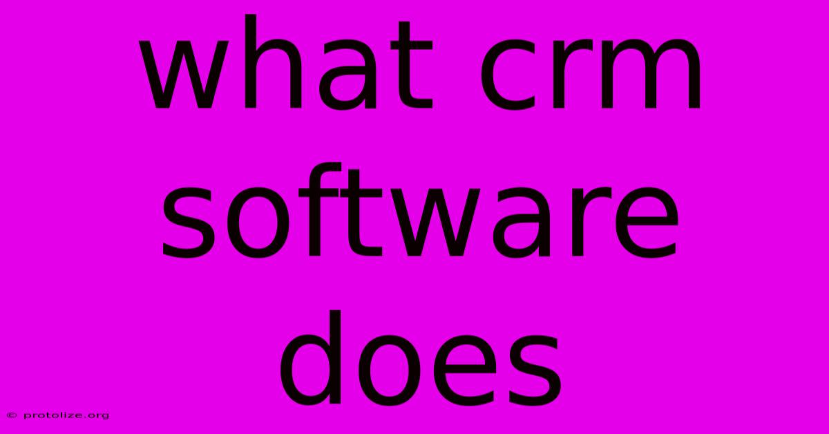 What Crm Software Does