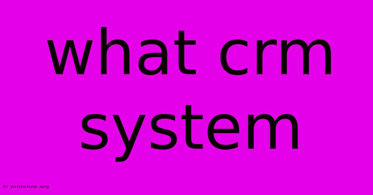 What Crm System