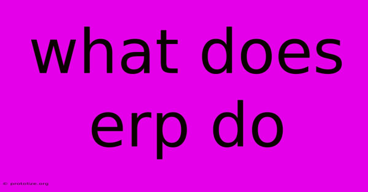 What Does Erp Do