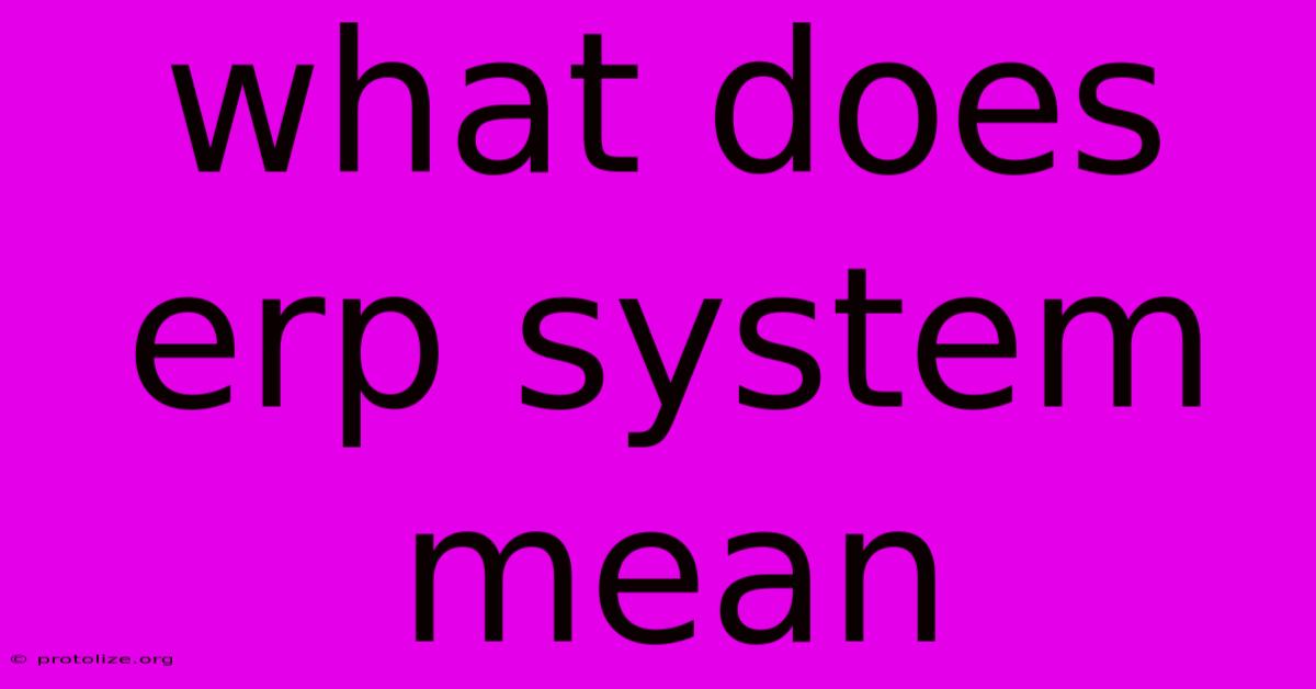 What Does Erp System Mean