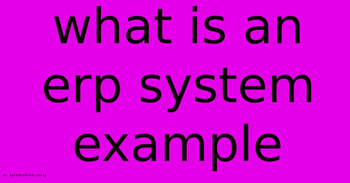 What Is An Erp System Example