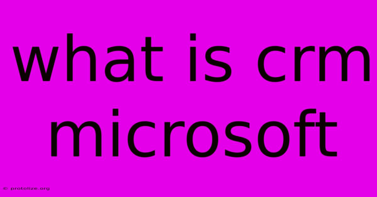 What Is Crm Microsoft