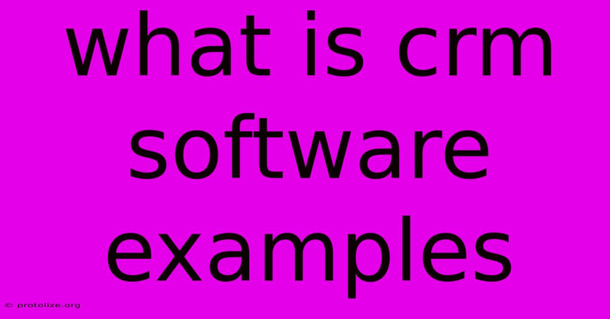 What Is Crm Software Examples