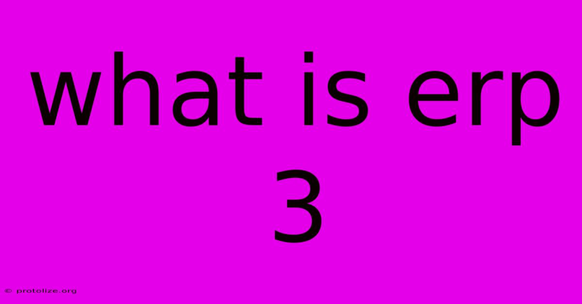 What Is Erp 3