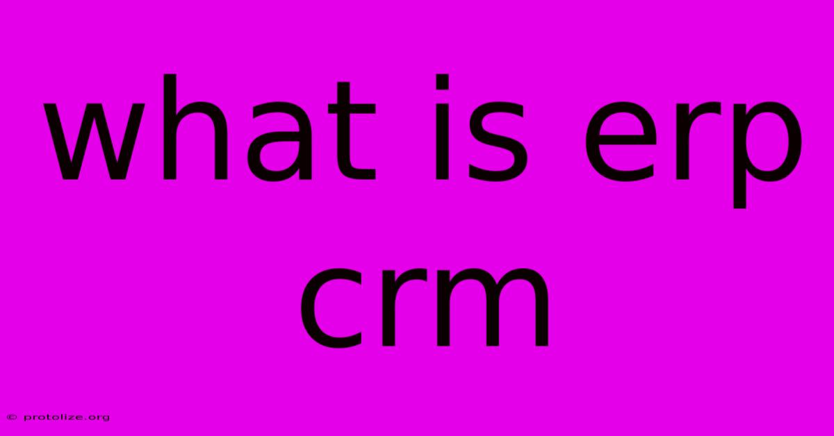 What Is Erp Crm