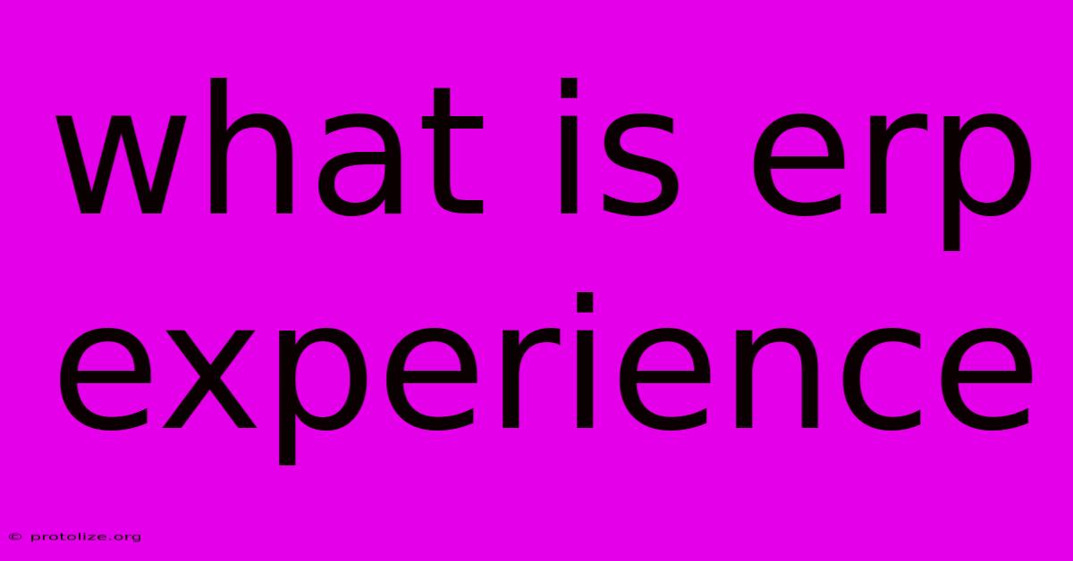 What Is Erp Experience