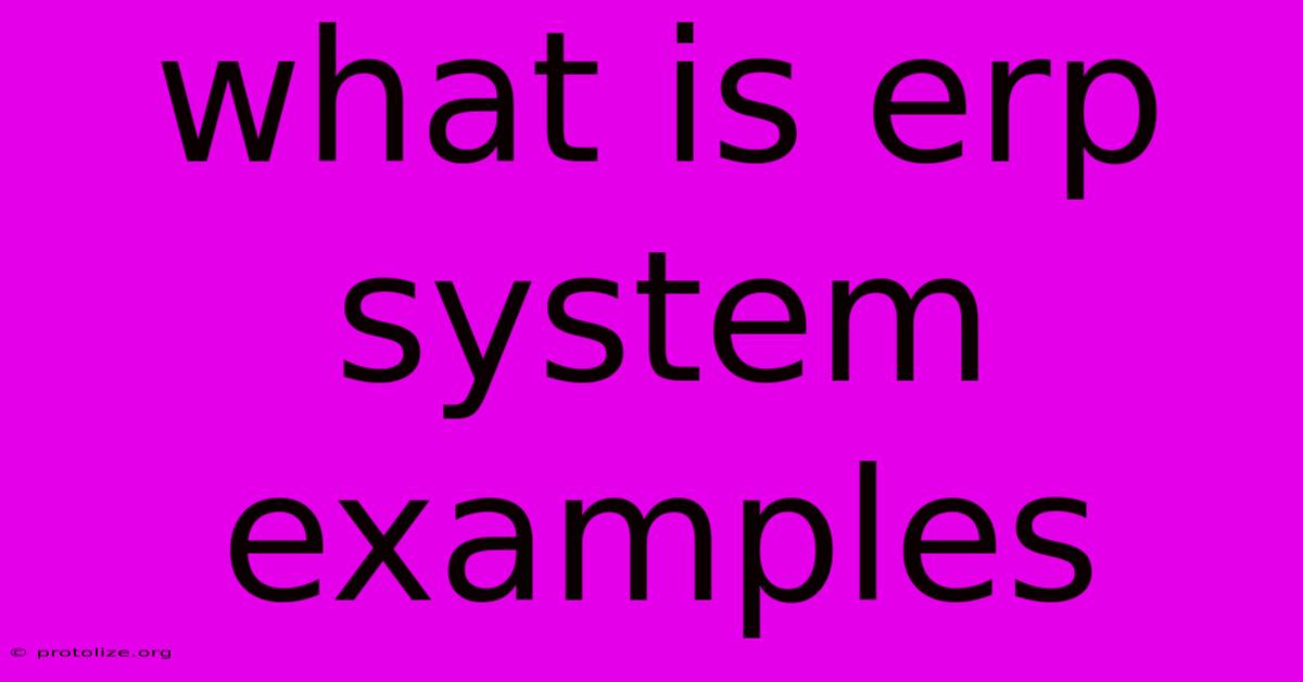 What Is Erp System Examples What Is Erp System Examples