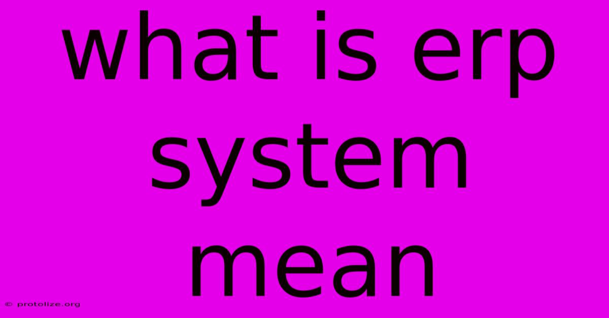 What Is Erp System Mean