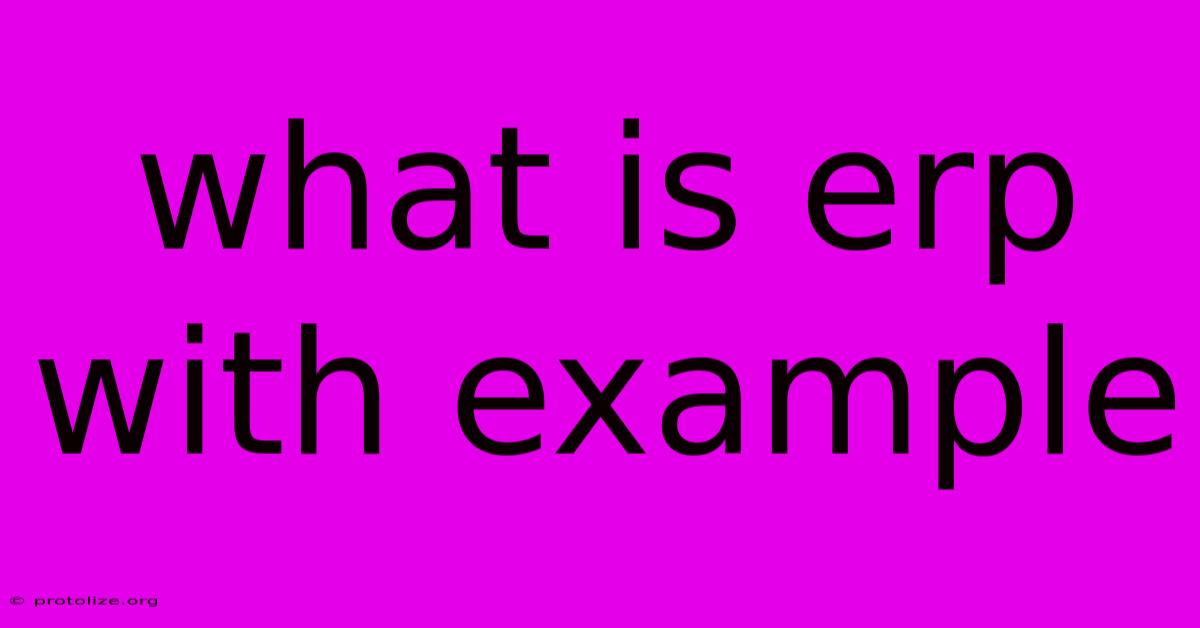 What Is Erp With Example What Is Erp With Example