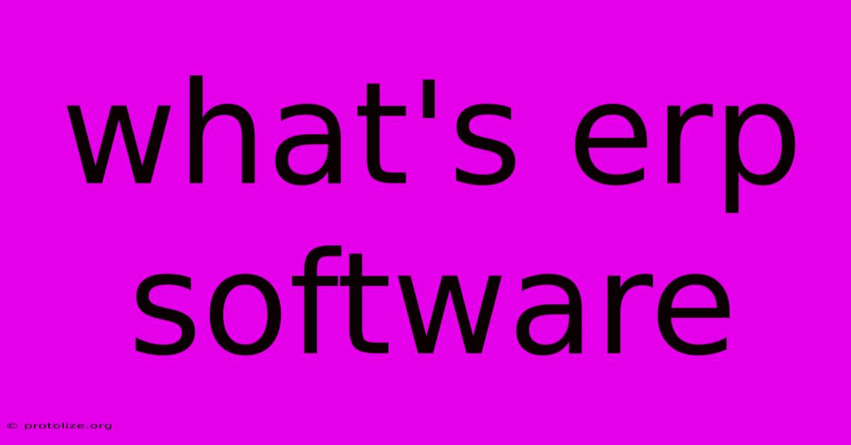 What's Erp Software What's Erp Software