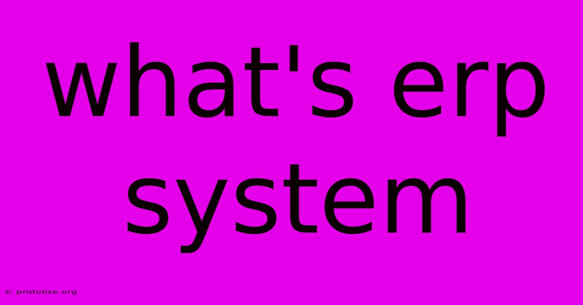 What's Erp System What's Erp System