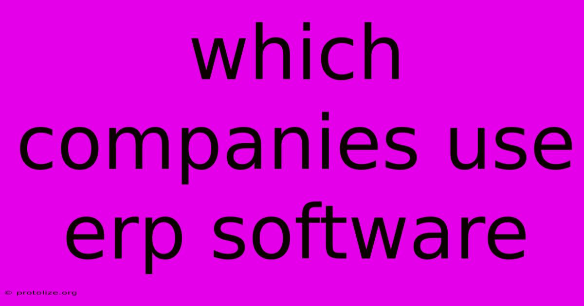 Which Companies Use Erp Software