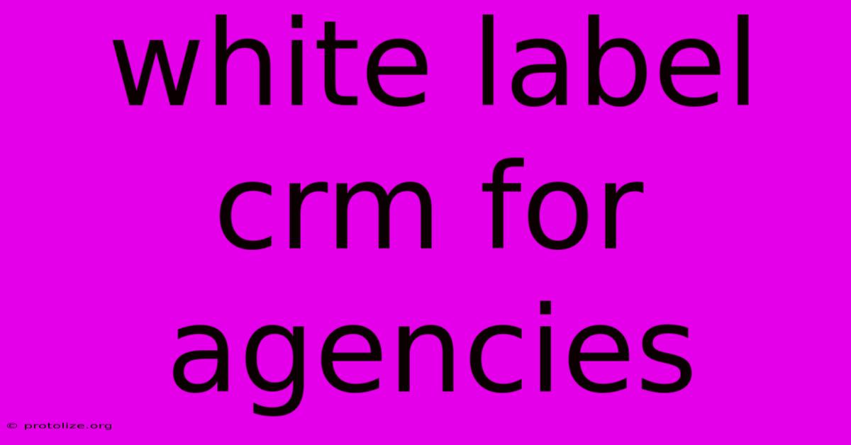 White Label Crm For Agencies White Label Crm For Agencies