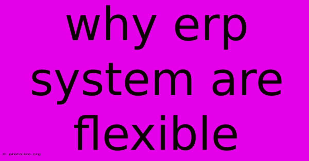 Why Erp System Are Flexible Why Erp System Are Flexible